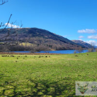 Salmon Galore, 3.77 Acre Site, Balquhidder, Lochearnhead