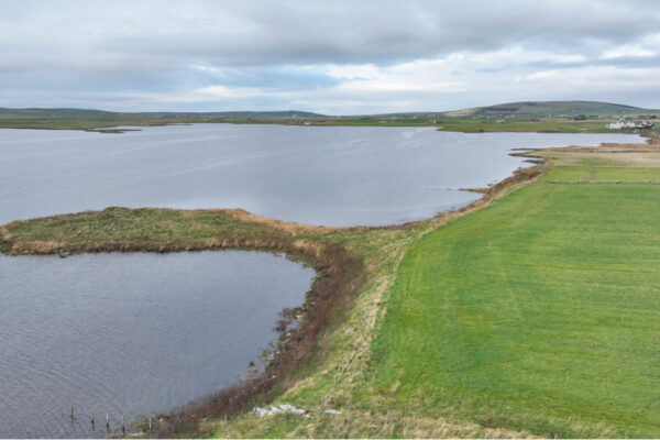Tidelines, Harray Loch, Orkney - Image 7