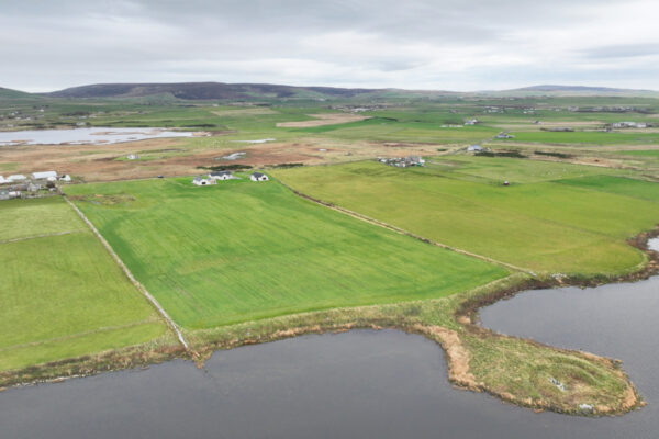 Tidelines, Harray Loch, Orkney - Image 4