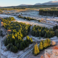 Braveheart Plot, Spean Bridge, Fort William