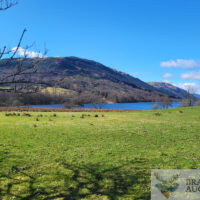 Braveheart 2, Balquhidder, Lochearnhead, Stirling