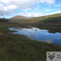 River Blackwater 8, NC500, Garve, Scottish Highlands